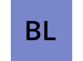 خرید شماره مجازی Blizzard