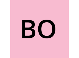 خرید شماره مجازی Bolt