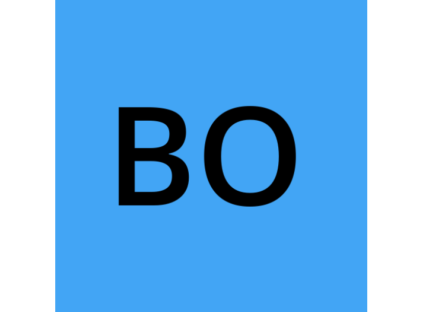 خرید شماره مجازی Bonchat
