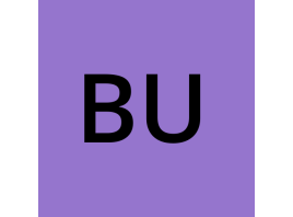 خرید شماره مجازی Bubblex
