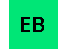 خرید شماره مجازی Ebikegewinnspiel