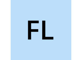 خرید شماره مجازی Flink